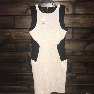 NEW Black and off white elegant dress